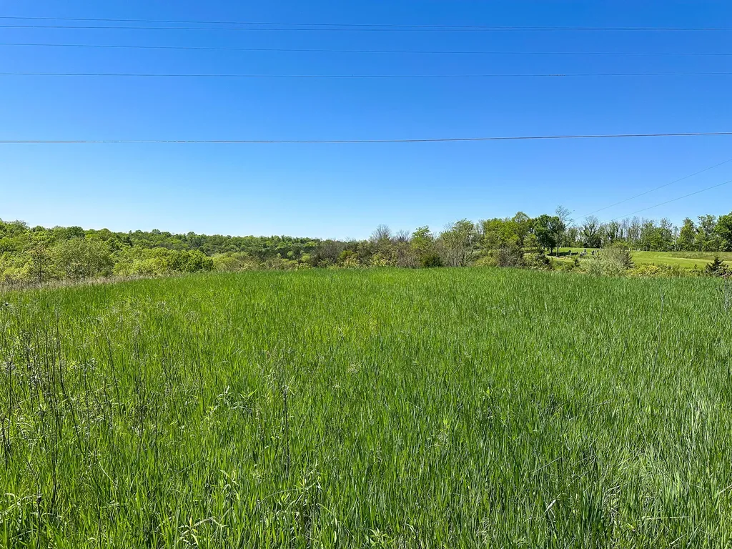 1376 Neave-milford Road Falmouth KY 41040