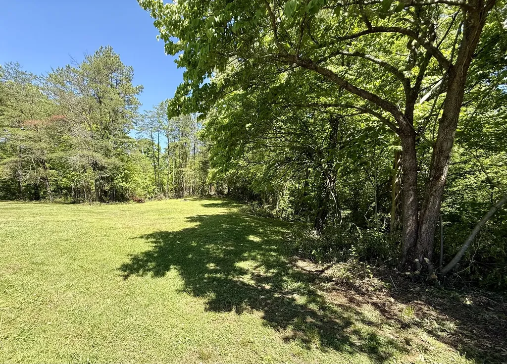 144 Ky-1809 Bryants Store KY 40921
