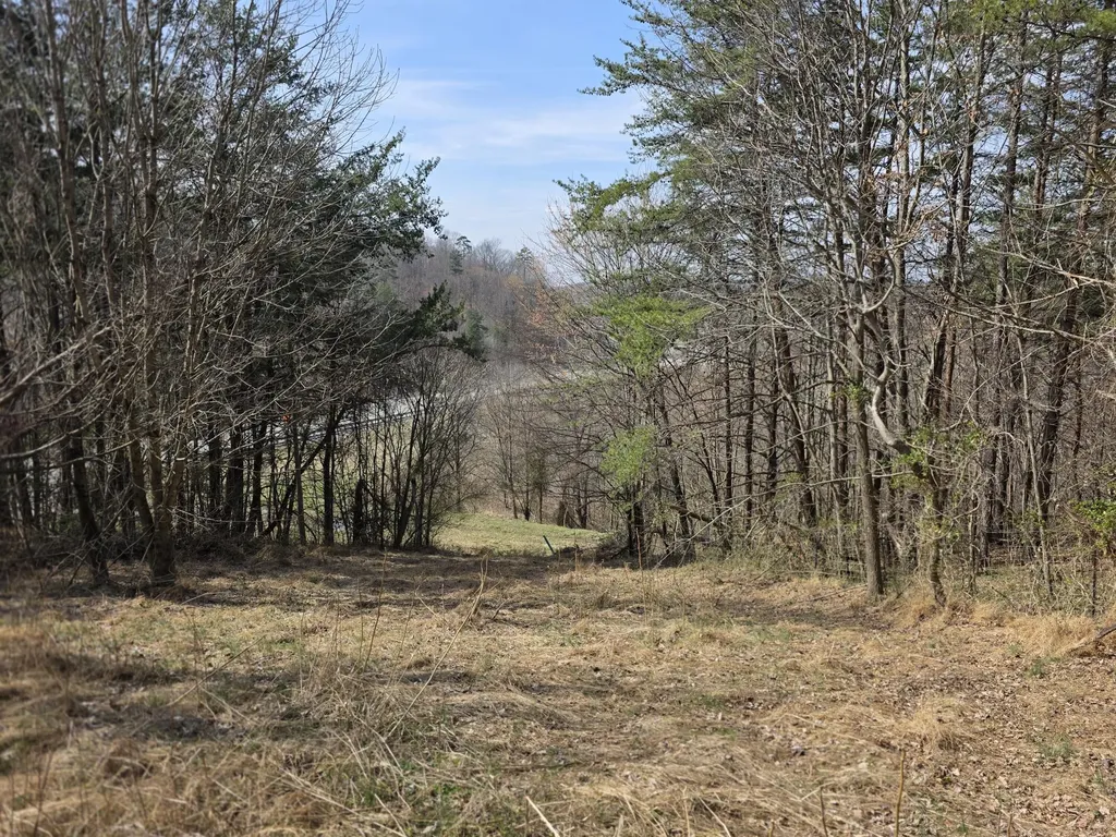 9999 3041 (corbin Bypass) Highway Corbin KY 40701