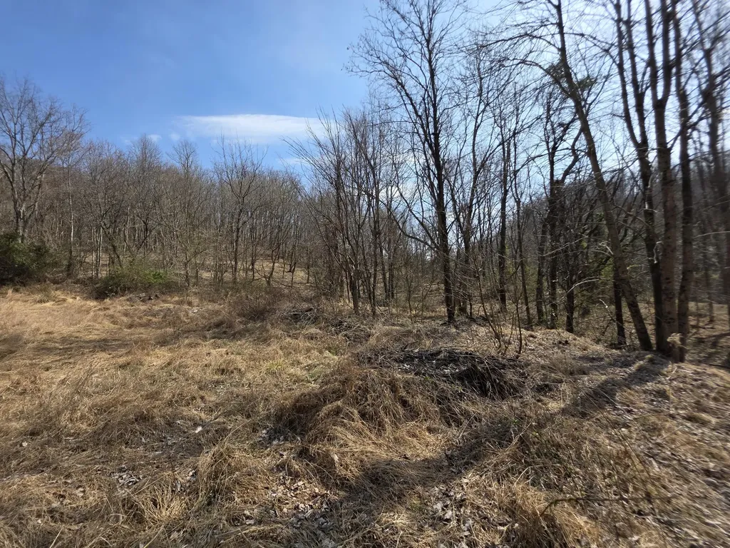9999 3041 (corbin Bypass) Highway Corbin KY 40701