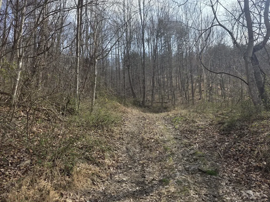 9999 3041 (corbin Bypass) Highway Corbin KY 40701