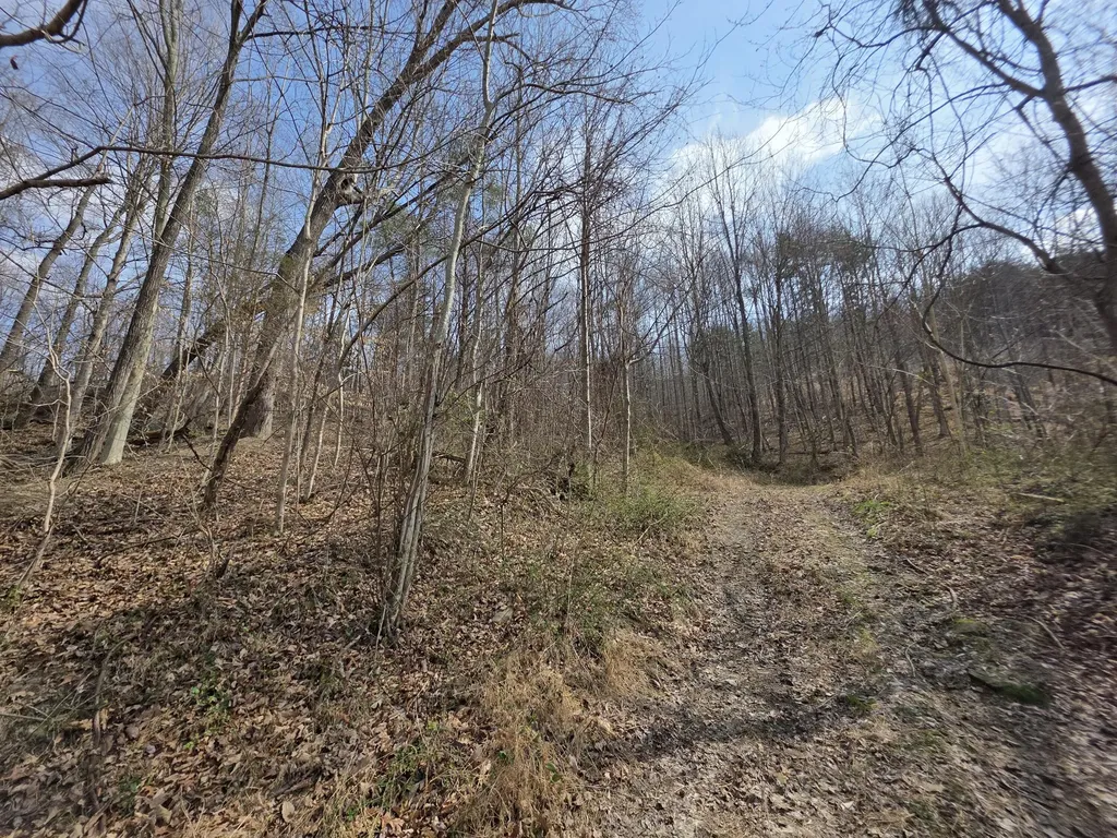9999 3041 (corbin Bypass) Highway Corbin KY 40701