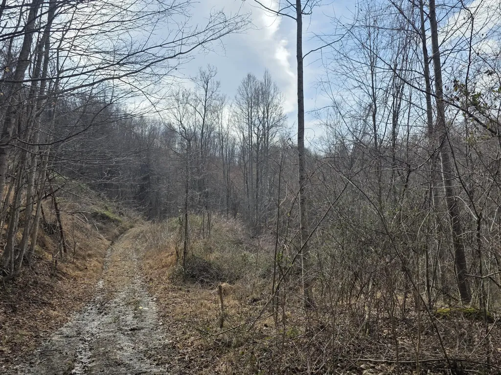 9999 3041 (corbin Bypass) Highway Corbin KY 40701