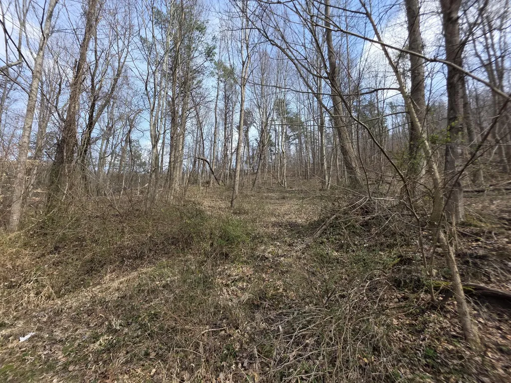 9999 3041 (corbin Bypass) Highway Corbin KY 40701