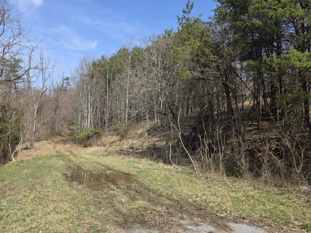 9999 3041 (corbin Bypass) Highway Corbin KY 40701