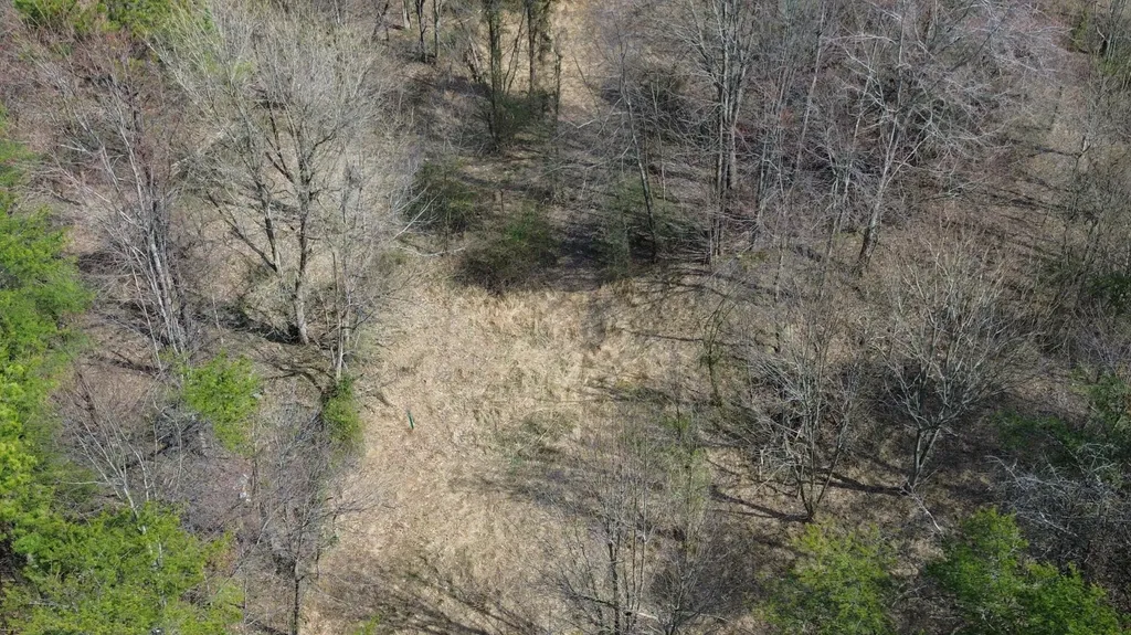 9999 3041 (corbin Bypass) Highway Corbin KY 40701