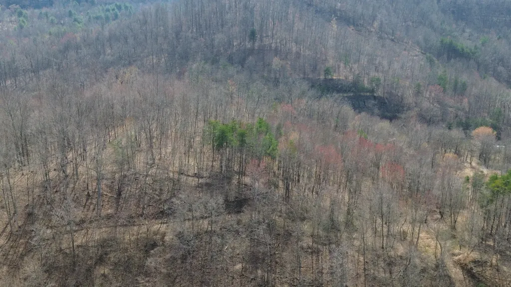 9999 3041 (corbin Bypass) Highway Corbin KY 40701