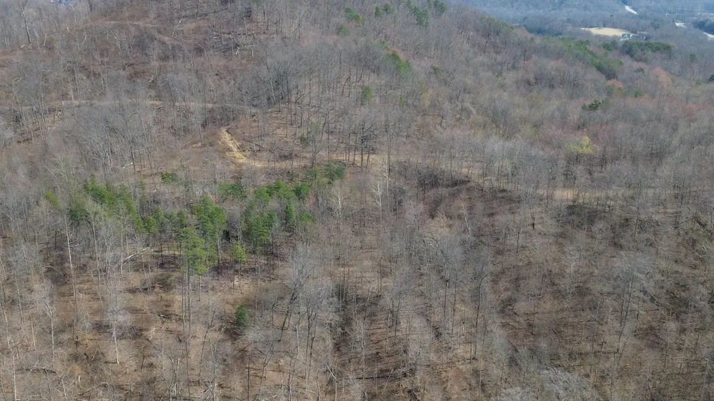 9999 3041 (corbin Bypass) Highway Corbin KY 40701