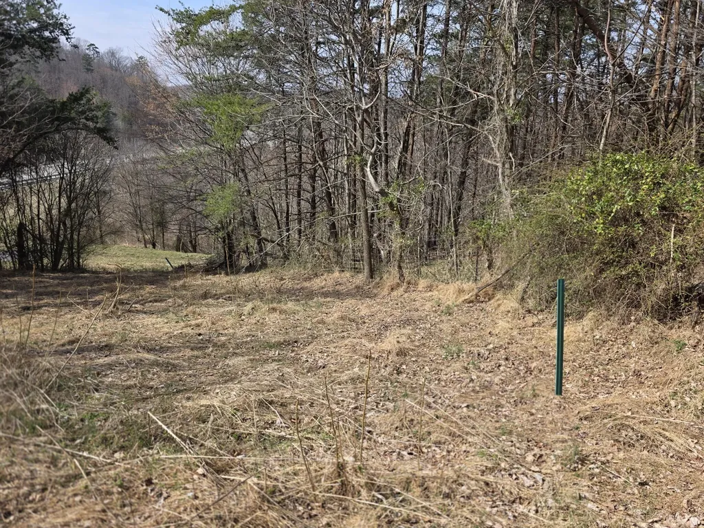 9999 3041 (corbin Bypass) Highway Corbin KY 40701