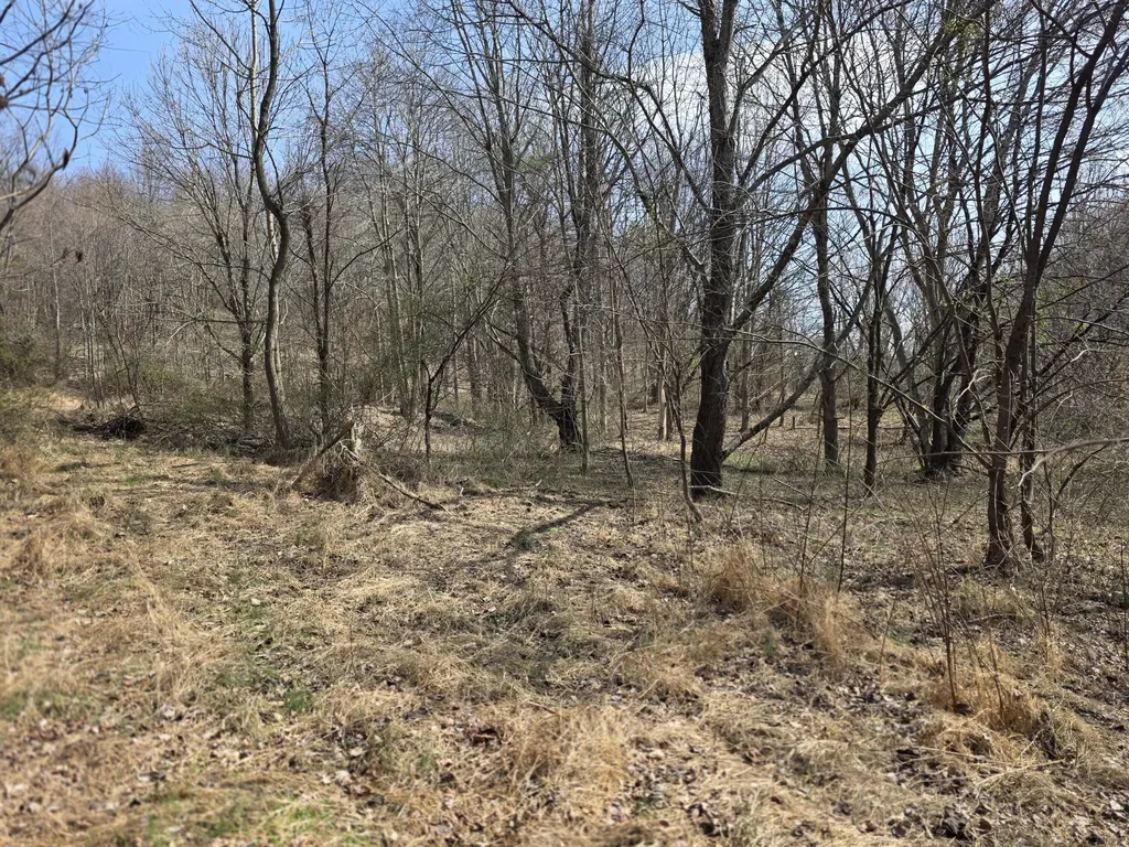 9999 3041 (corbin Bypass) Highway Corbin KY 40701