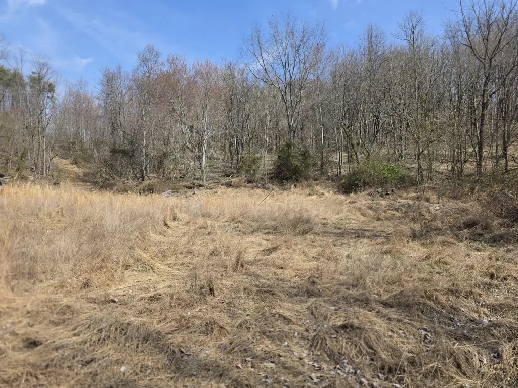 9999 3041 (corbin Bypass) Highway Corbin KY 40701