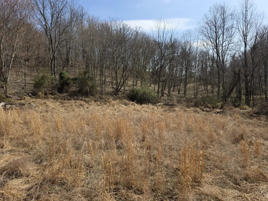 9999 3041 (corbin Bypass) Highway Corbin KY 40701