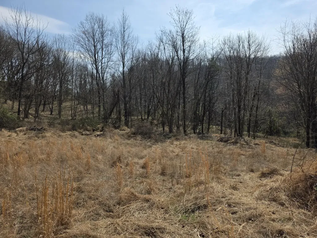 9999 3041 (corbin Bypass) Highway Corbin KY 40701