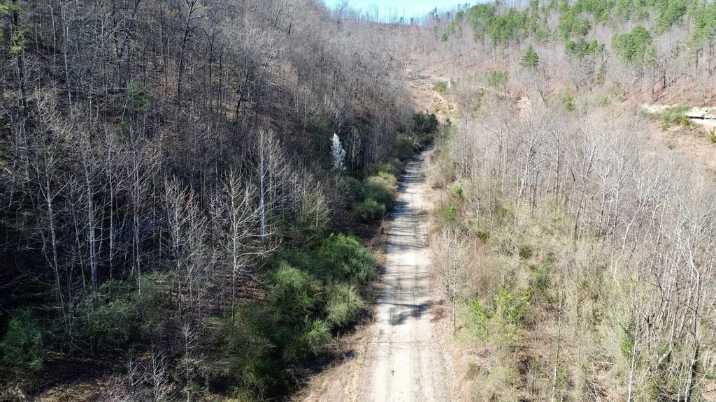 2214A State Highway 2033 Louisa KY 41230