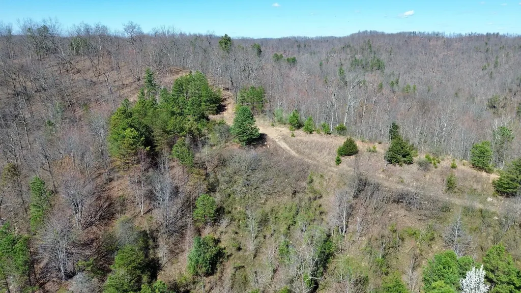 2214A State Highway 2033 Louisa KY 41230