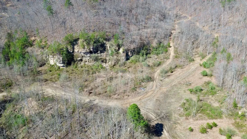 2214A State Highway 2033 Louisa KY 41230