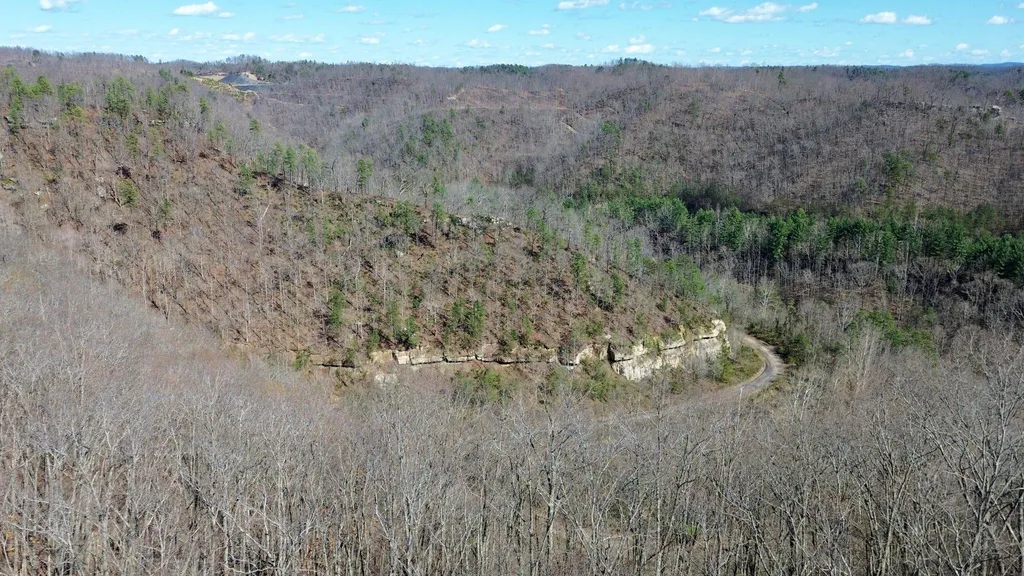 2214A State Highway 2033 Louisa KY 41230