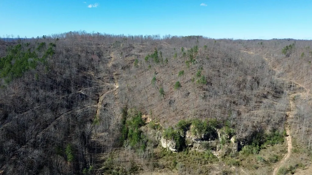 2214A State Highway 2033 Louisa KY 41230
