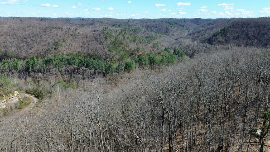 2214A State Highway 2033 Louisa KY 41230