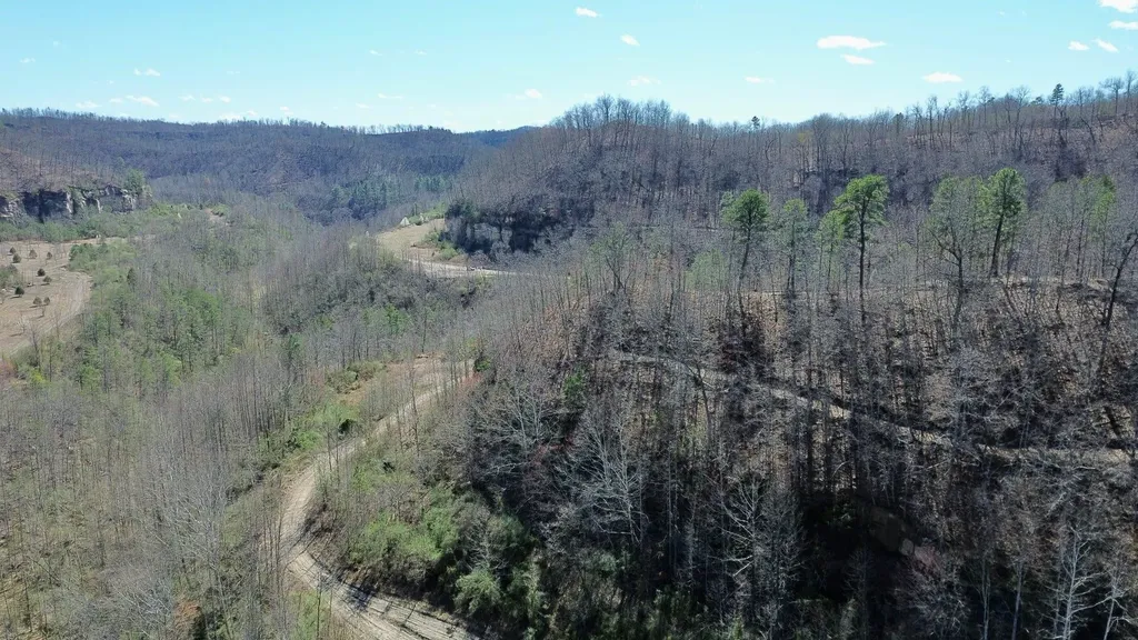 2214A State Highway 2033 Louisa KY 41230