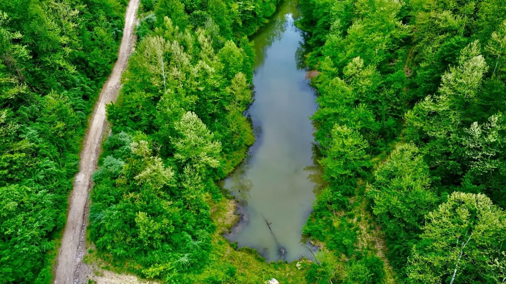2214A State Highway 2033 Louisa KY 41230
