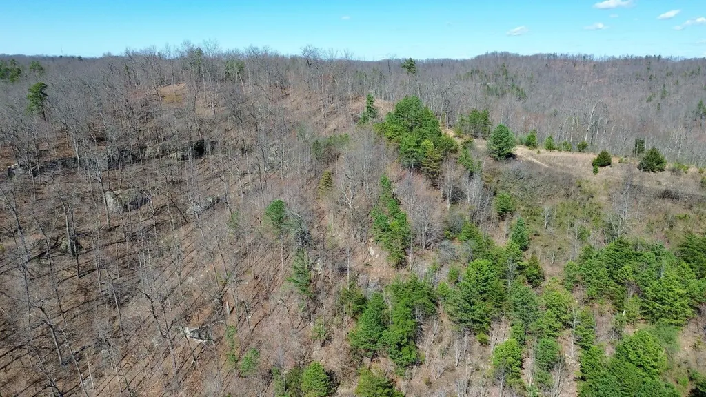 2214A State Highway 2033 Louisa KY 41230