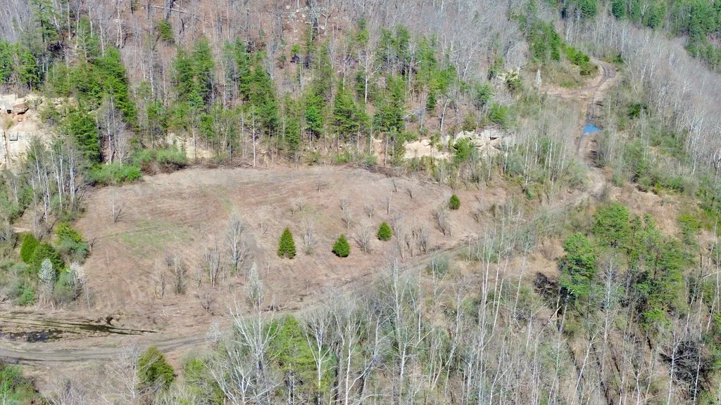 2214A State Highway 2033 Louisa KY 41230