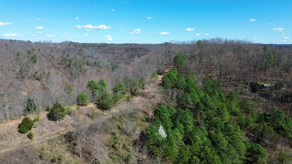 2214A State Highway 2033 Louisa KY 41230