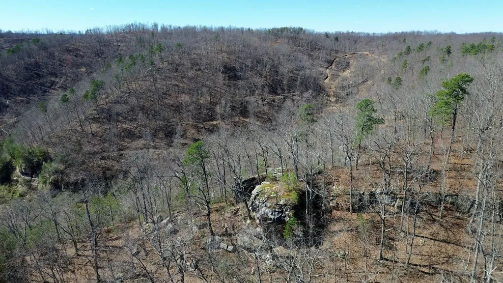 2214A State Highway 2033 Louisa KY 41230