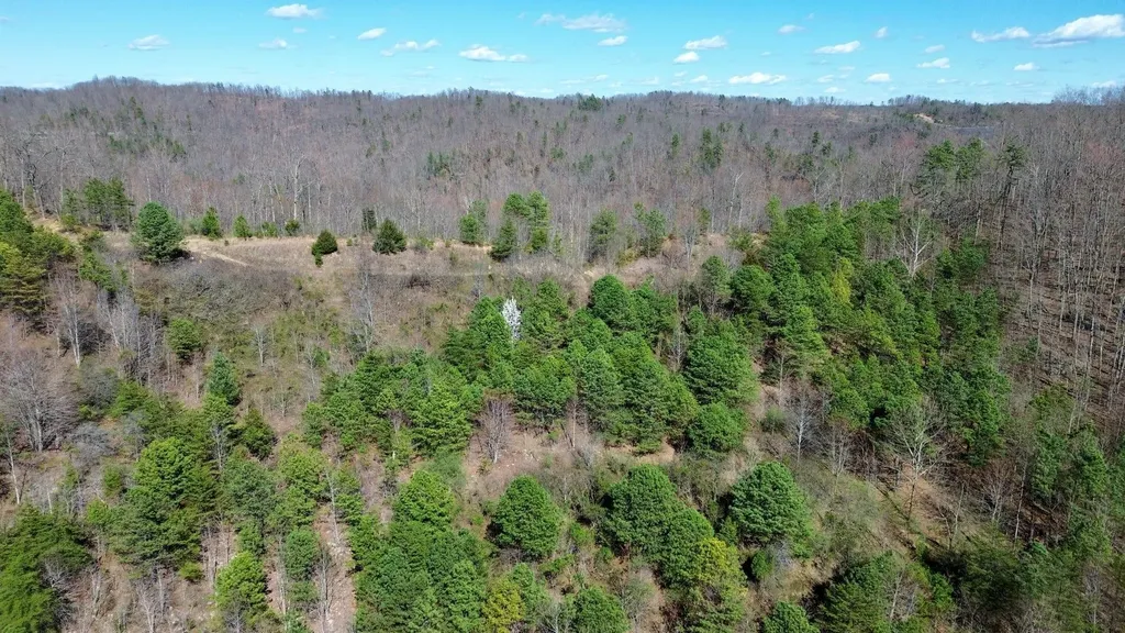 2214A State Highway 2033 Louisa KY 41230
