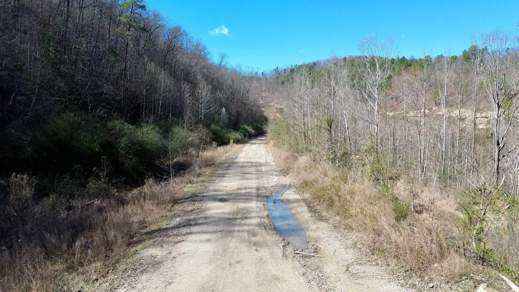 2214A State Highway 2033 Louisa KY 41230