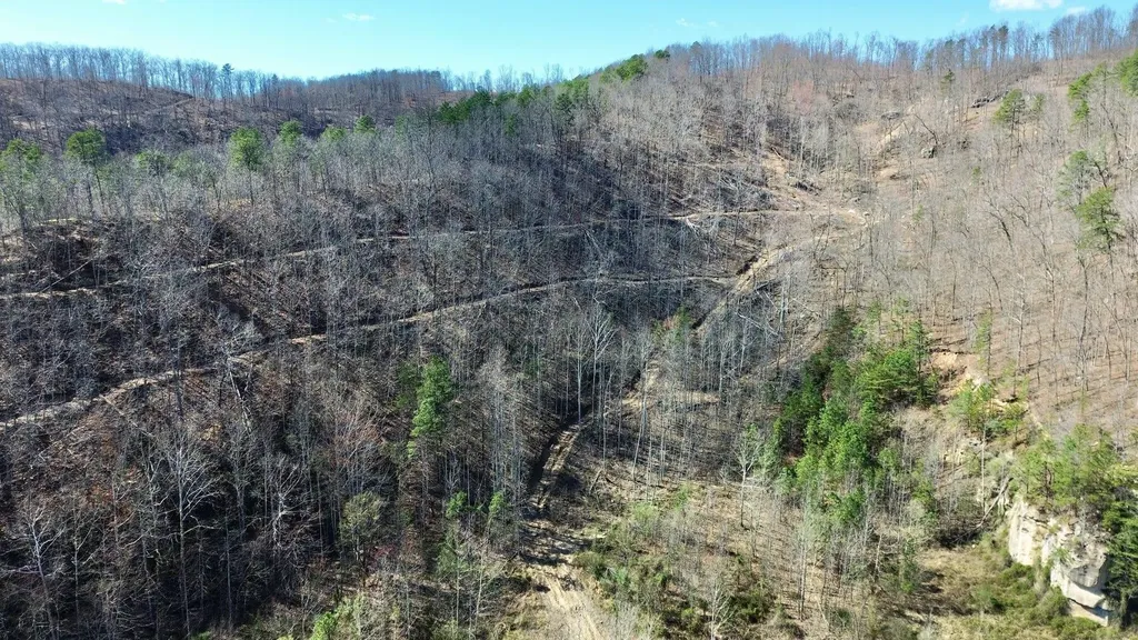 2214A State Highway 2033 Louisa KY 41230
