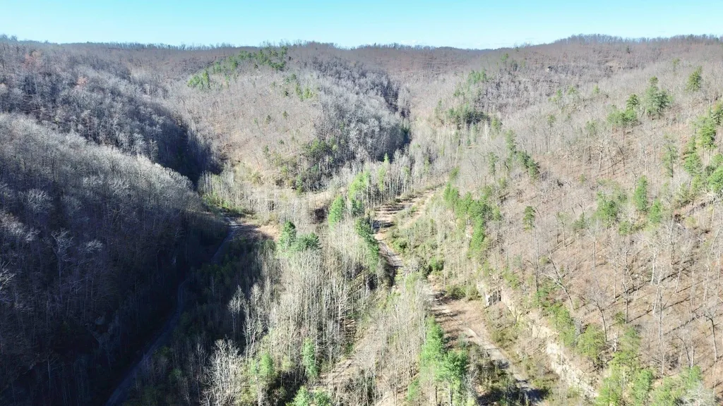 2214A State Highway 2033 Louisa KY 41230