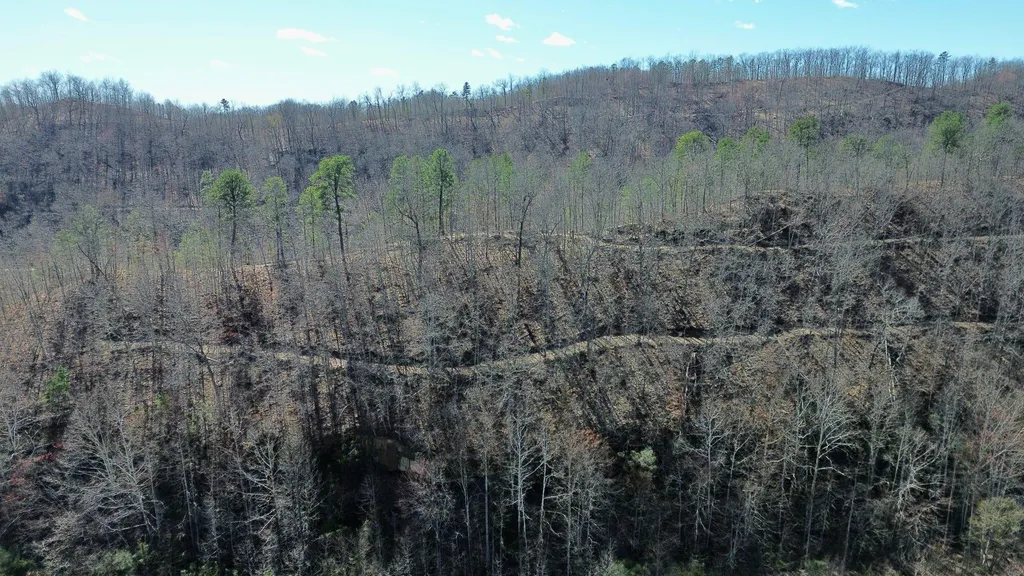 2214A State Highway 2033 Louisa KY 41230
