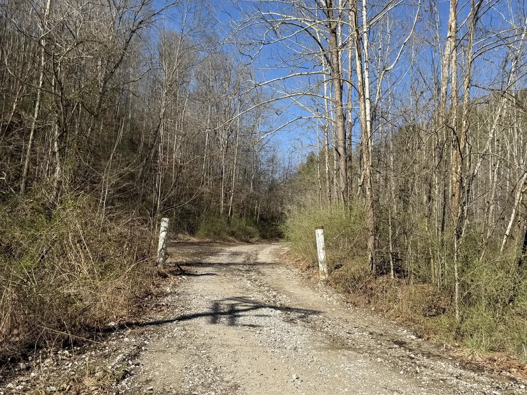 2214A State Highway 2033 Louisa KY 41230