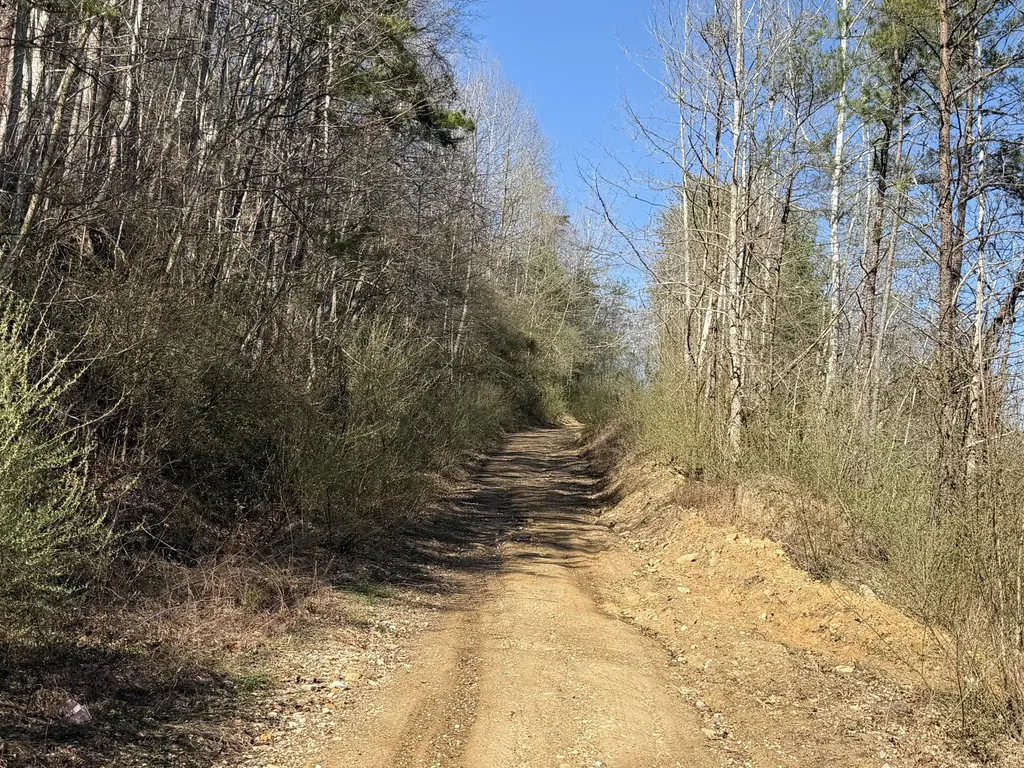 2214A State Highway 2033 Louisa KY 41230