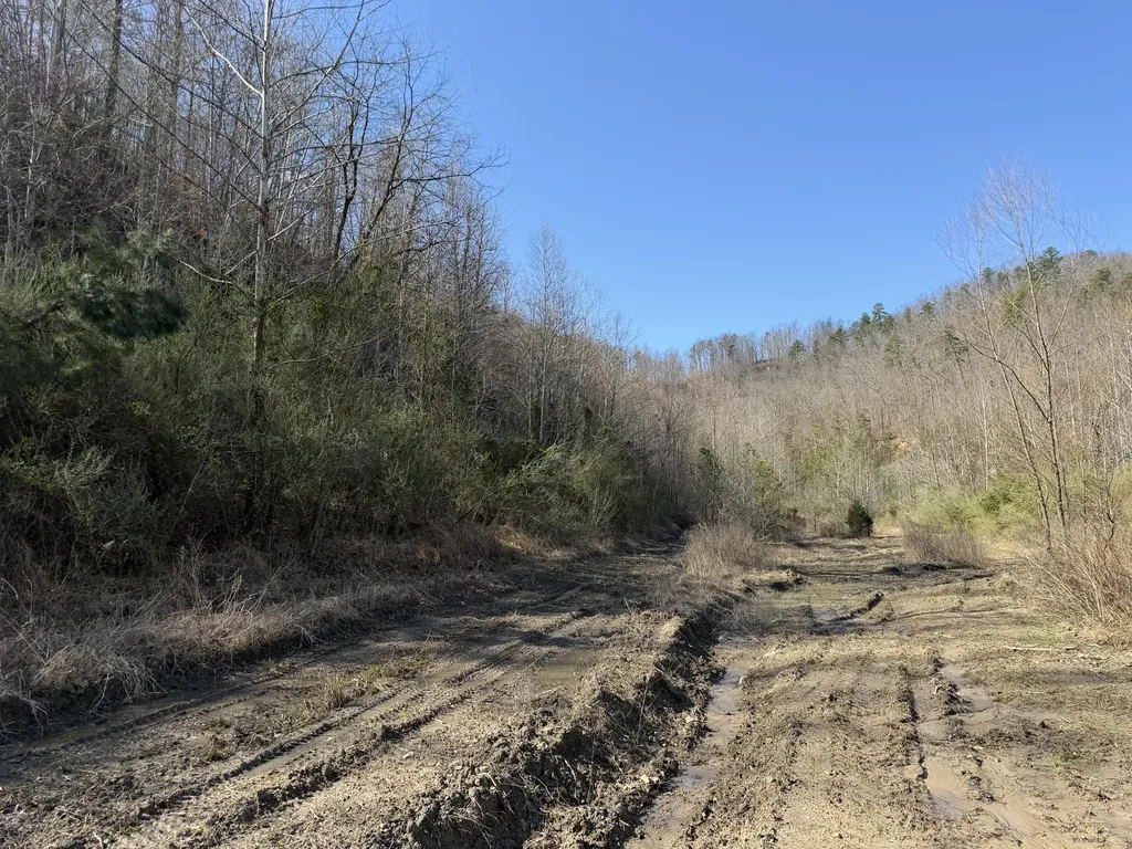 2214A State Highway 2033 Louisa KY 41230