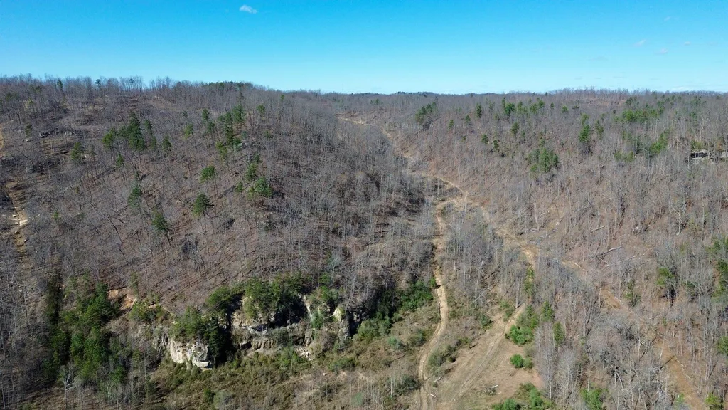 2214A State Highway 2033 Louisa KY 41230