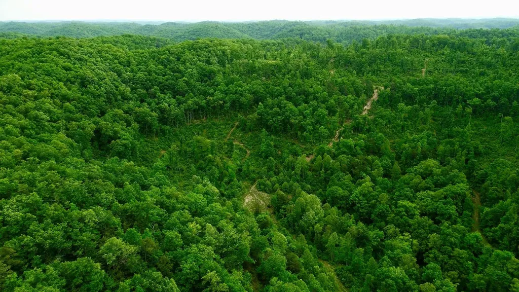 2214A State Highway 2033 Louisa KY 41230