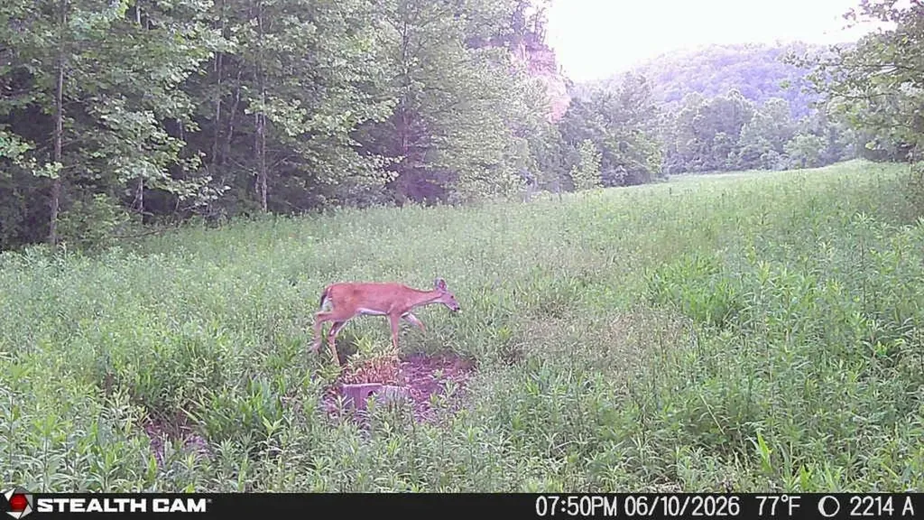 2214A State Highway 2033 Louisa KY 41230