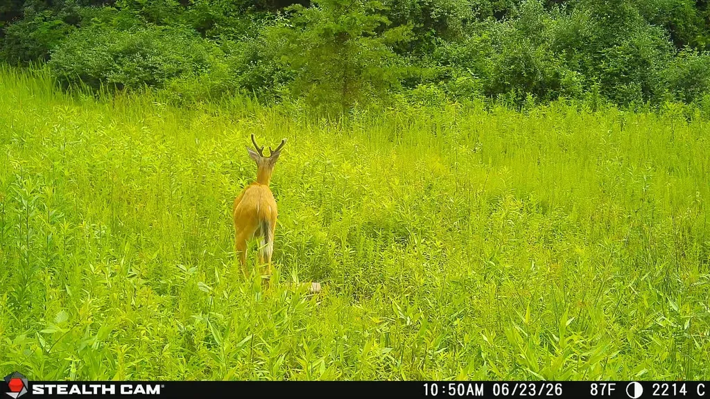 2214A State Highway 2033 Louisa KY 41230
