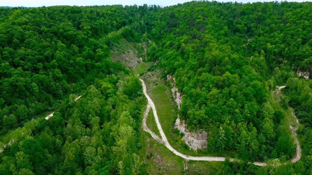 2214A State Highway 2033 Louisa KY 41230