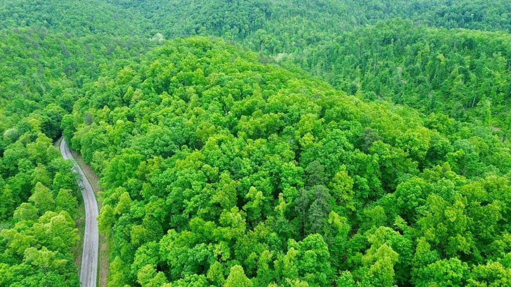 2214A State Highway 2033 Louisa KY 41230