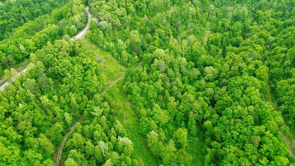 2214A State Highway 2033 Louisa KY 41230