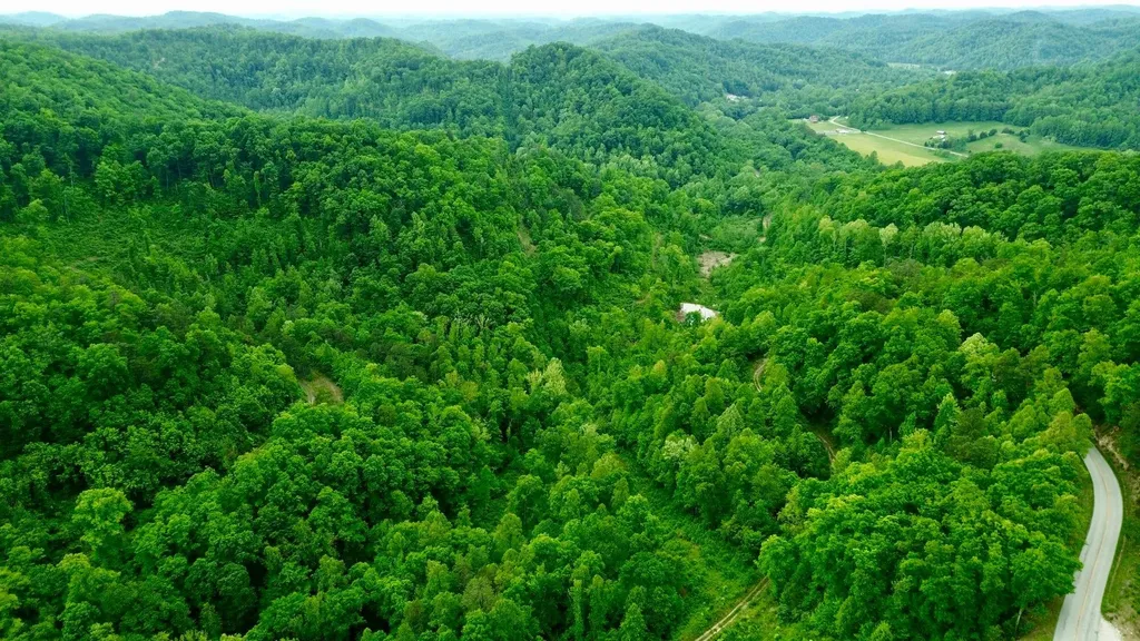 2214A State Highway 2033 Louisa KY 41230