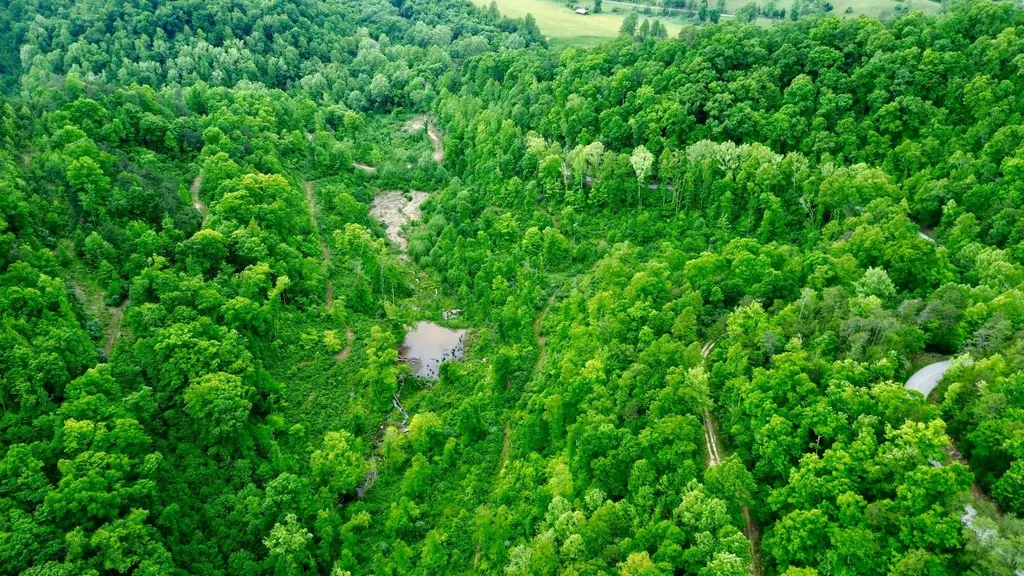 2214A State Highway 2033 Louisa KY 41230