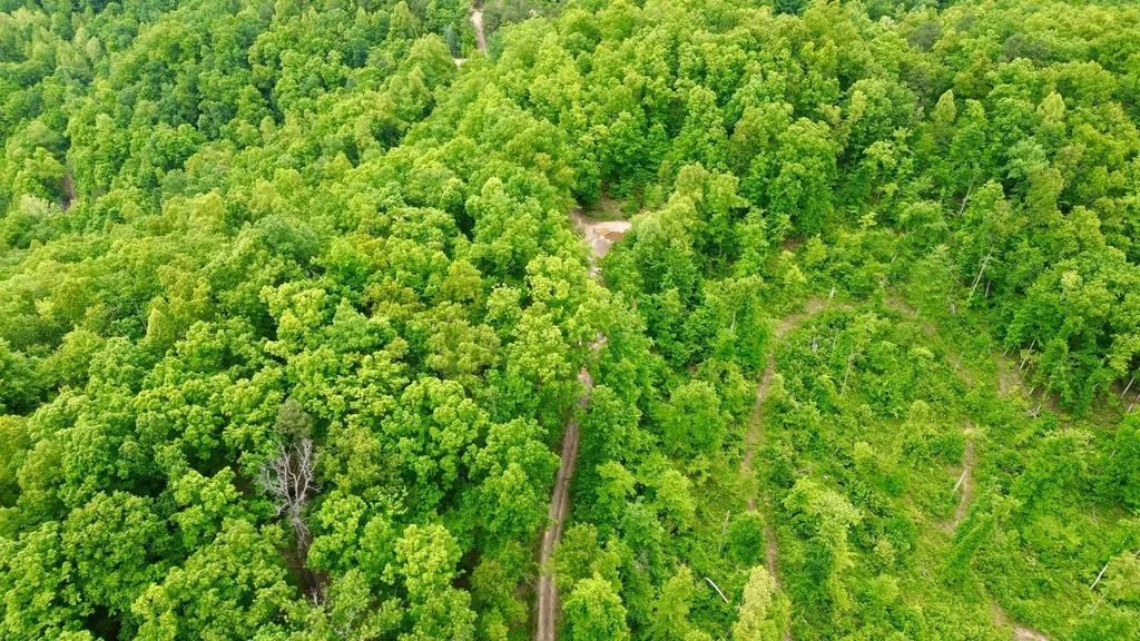 2214A State Highway 2033 Louisa KY 41230