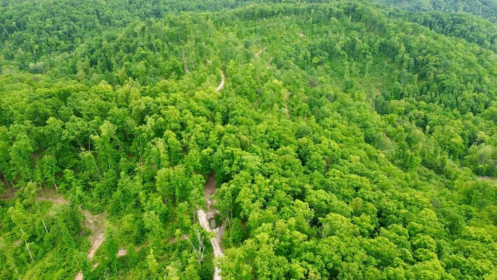 2214A State Highway 2033 Louisa KY 41230