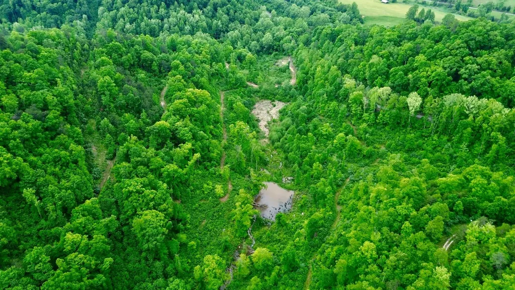 2214A State Highway 2033 Louisa KY 41230