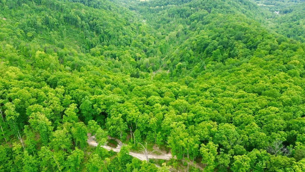 2214A State Highway 2033 Louisa KY 41230